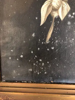 Reinigen-en-of-verdoeken-van-acrylverf-schilderijen-3